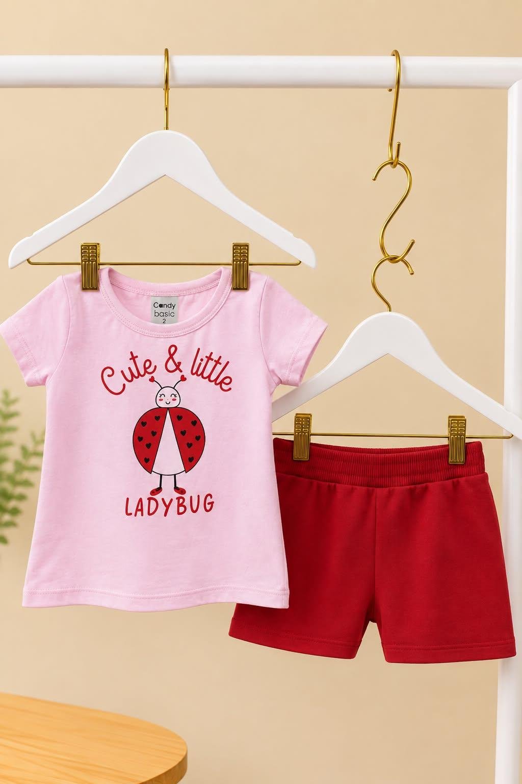 CONJUNTO FEMININO